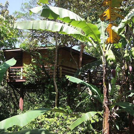 Villa Treehouse Pilon Pavones Pavones  Exterior foto