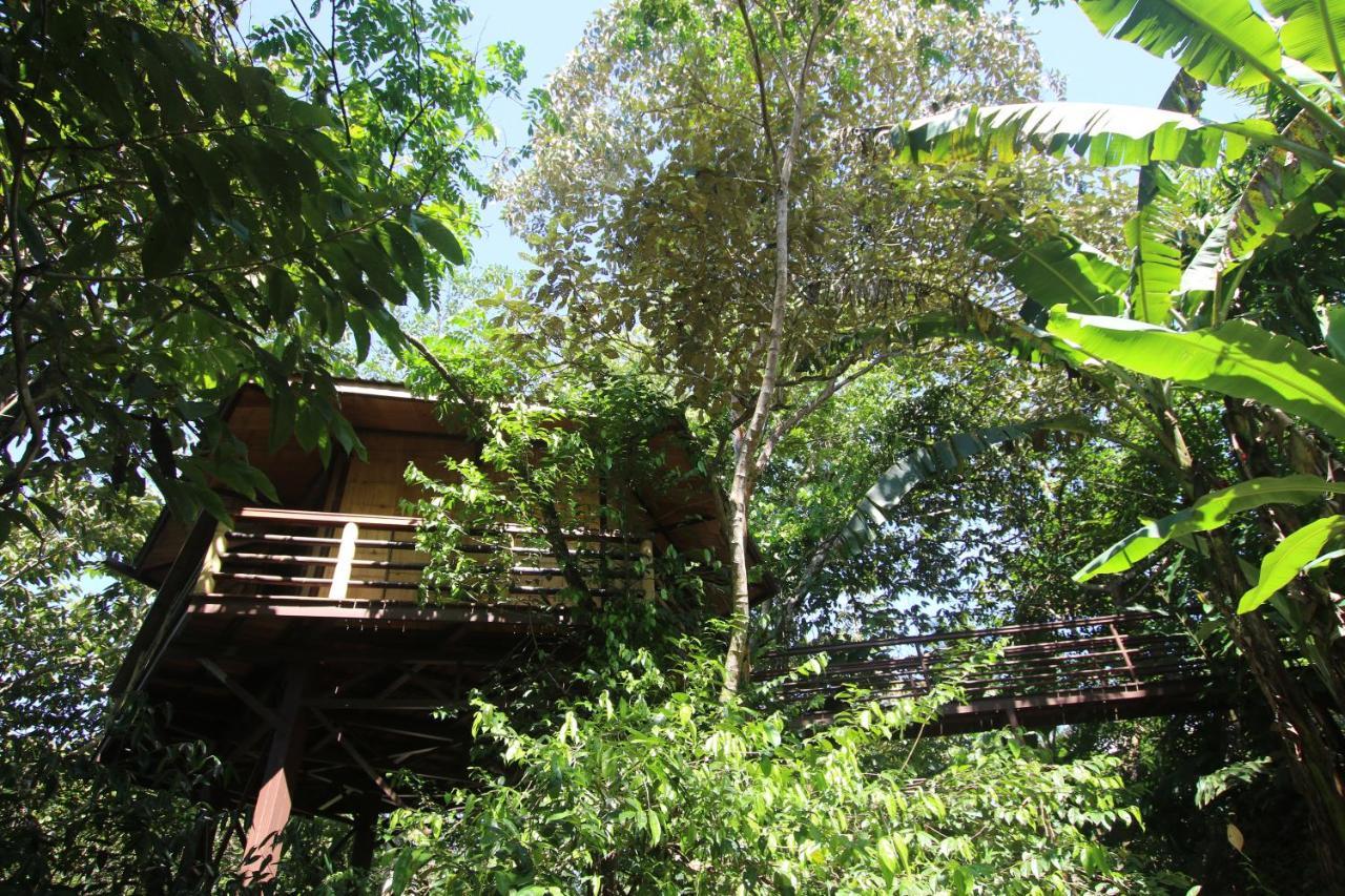 Villa Treehouse Pilon Pavones Pavones  Exterior foto