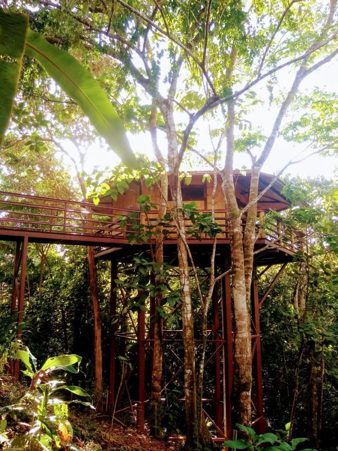 Villa Treehouse Pilon Pavones Pavones  Exterior foto