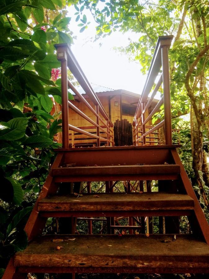Villa Treehouse Pilon Pavones Pavones  Exterior foto