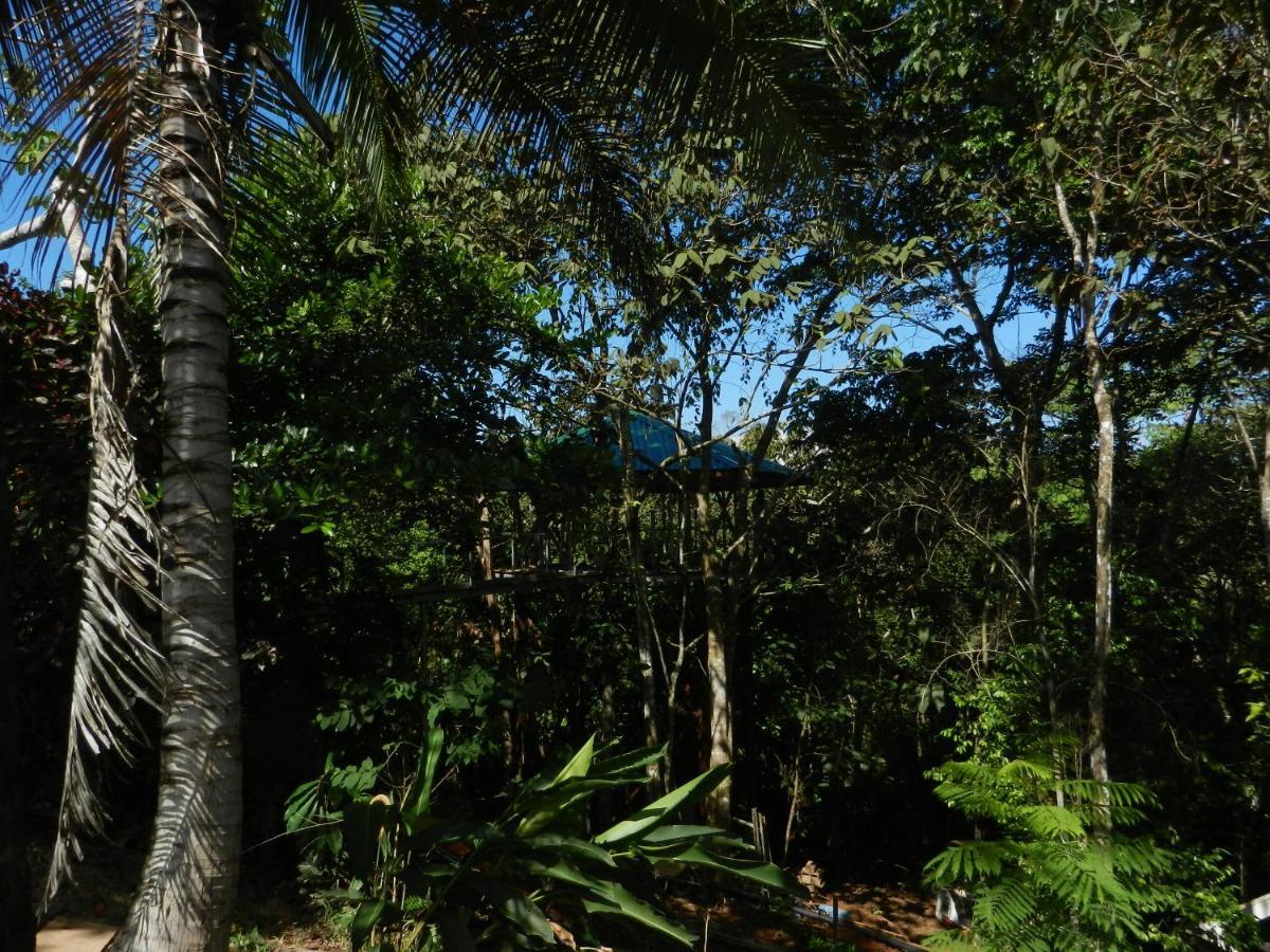 Villa Treehouse Pilon Pavones Pavones  Exterior foto