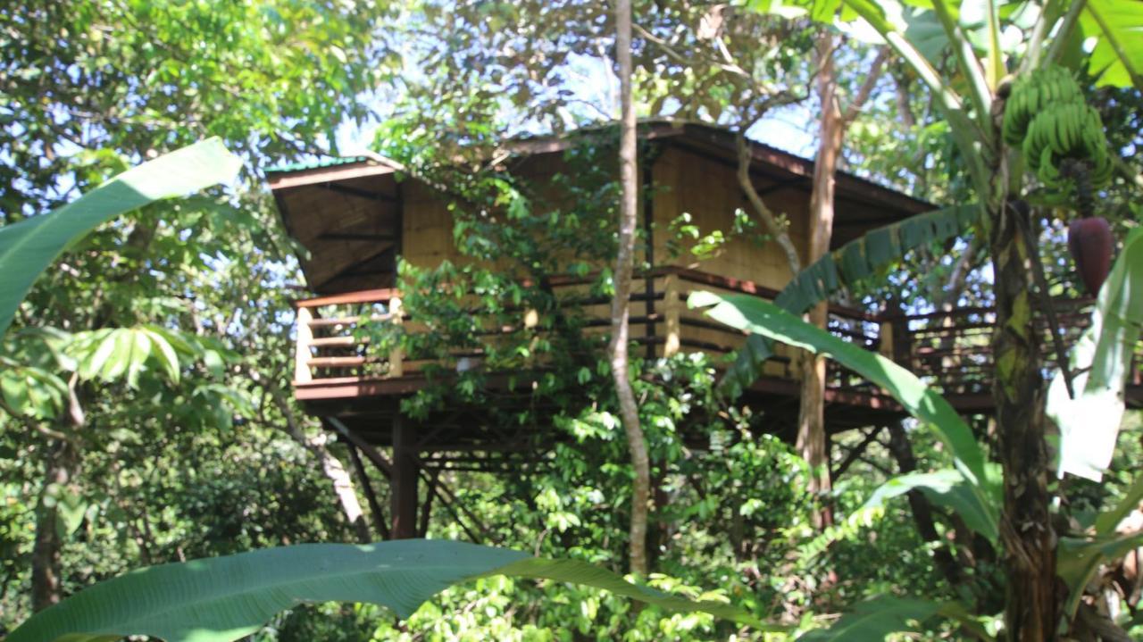 Villa Treehouse Pilon Pavones Pavones  Exterior foto