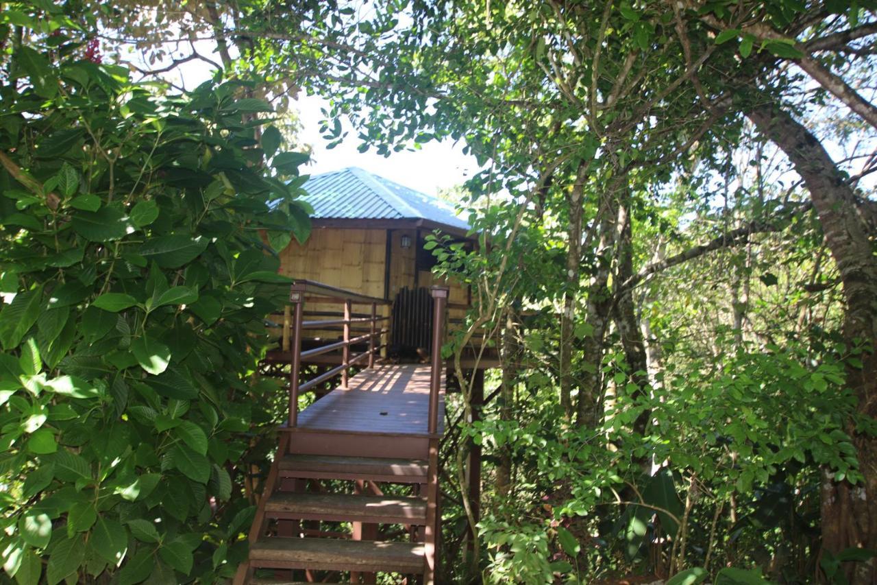 Villa Treehouse Pilon Pavones Pavones  Exterior foto