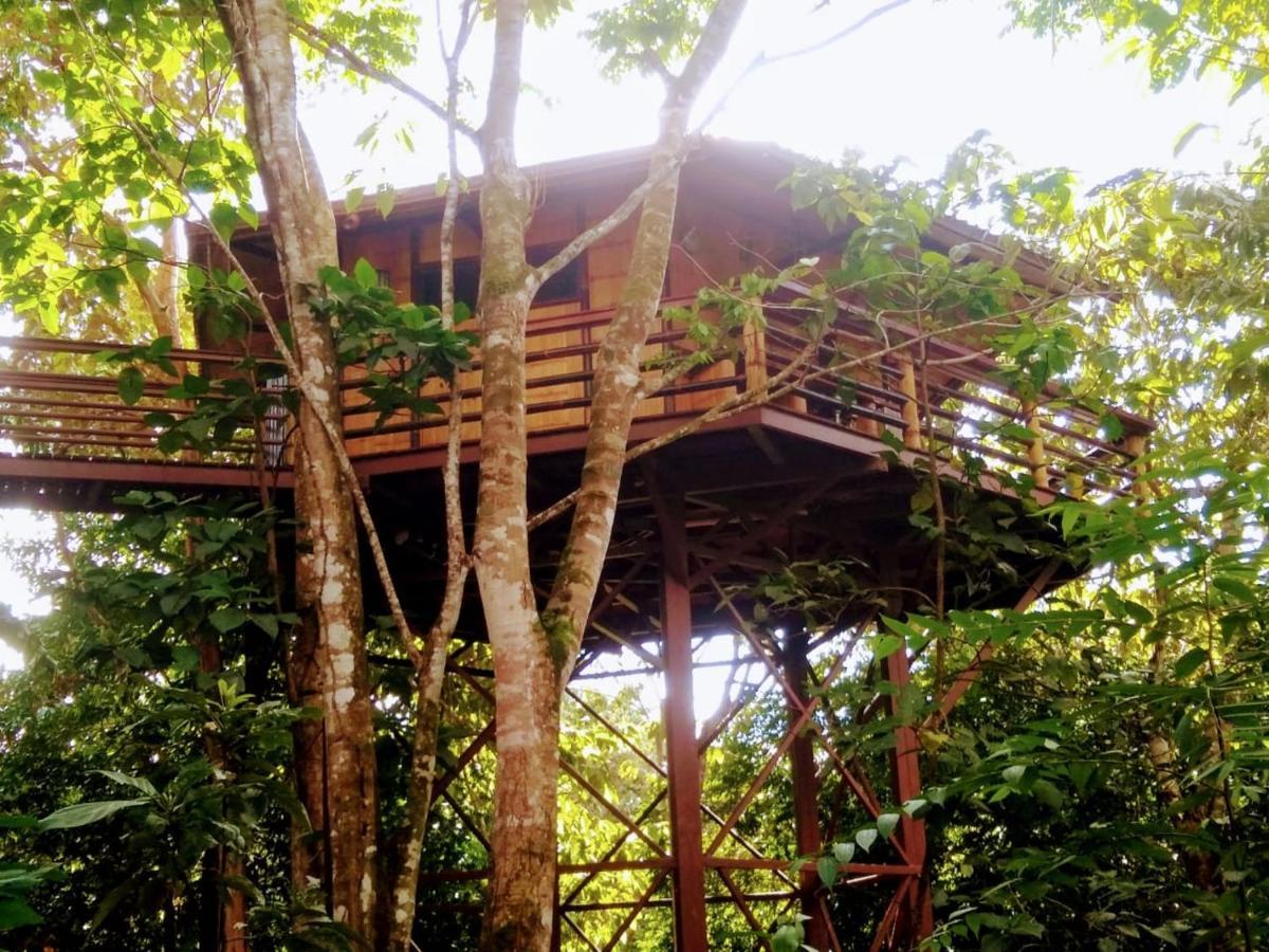 Villa Treehouse Pilon Pavones Pavones  Exterior foto