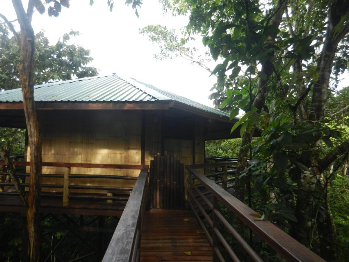 Villa Treehouse Pilon Pavones Pavones  Exterior foto