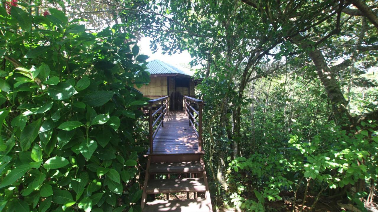 Villa Treehouse Pilon Pavones Pavones  Exterior foto