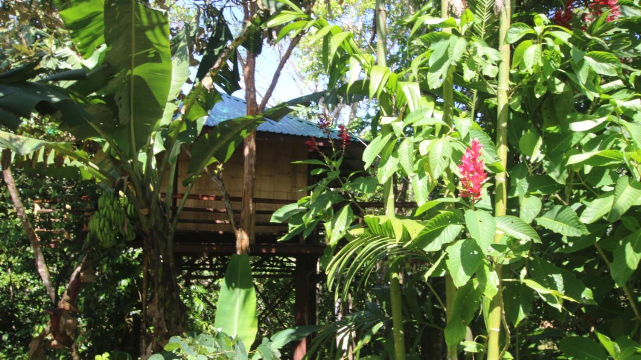 Villa Treehouse Pilon Pavones Pavones  Exterior foto
