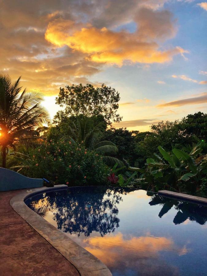 Villa Treehouse Pilon Pavones Pavones  Exterior foto